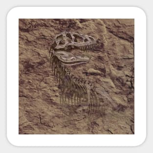 T-Rex Dinosaur skeleton Fossil Sticker